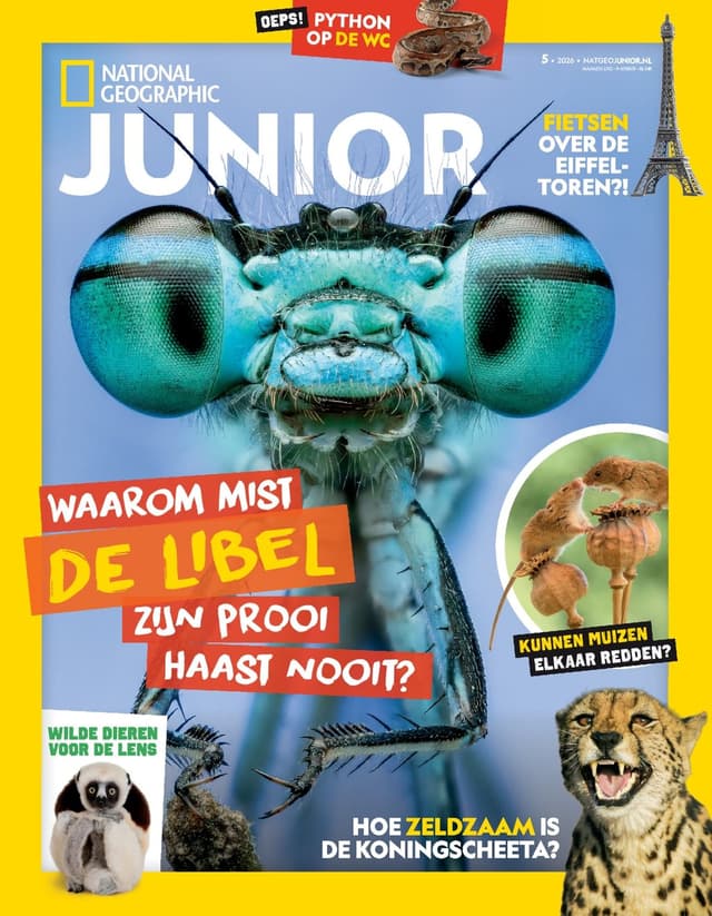 National Geographic Junior